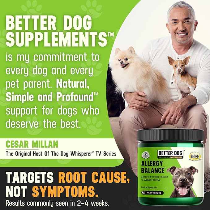 Cesar Millan Better Dog Allergy Supplements Powder - Allergy Balance Supports Seasonal Allergies & Occasional Dog Allergy Relief with Natural Ingredients - 4 oz, 60-Day Average Supply