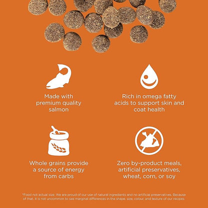 Go! Solutions Skin + Coat Care, Dry Dog Food, Salmon Recipe with Grains, 22 lb Bag