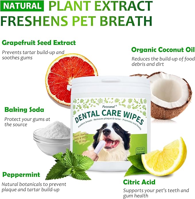 Dental Care Wipes for Dogs and Cats, 50 Count, Teeth and Gum Cleaning, Plaque and Tartar Removal