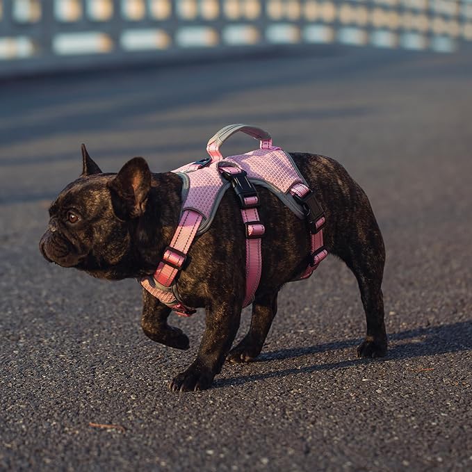 BELPRO Multi-Use Support Dog Harness, Escape Proof No Pull Reflective Adjustable Vest with Durable Handle, Dog Walking Harness for Big/Active Dogs (Pink, L)