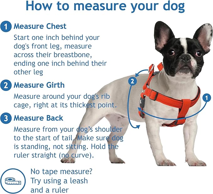 Kruz No Pull Dog Harness (Chest 21”-30”, Weight 22-53 lbs) Heavy-Duty Pet Harness for Medium Breeds, Ultra-Comfort Fit, Lifetime Durability, Adjustable Dog Harness No Pull Design (Blue, Medium)