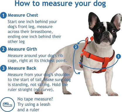 Kruz No Pull Dog Harness (Chest 21”-30”, Weight 22-53 lbs) Heavy-Duty Pet Harness for Medium Breeds, Ultra-Comfort Fit, Lifetime Durability, Adjustable Dog Harness No Pull Design (Blue, Medium)