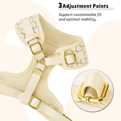 Floral Brilliance Dog Harness with D-Ring Leash Clip Set – Adjustable No-Pull Harness for Tiny Toys XX Small Size Dogs Chihuahua, Pomeranian, and Yorkshire Terrier (Gold, XXS)