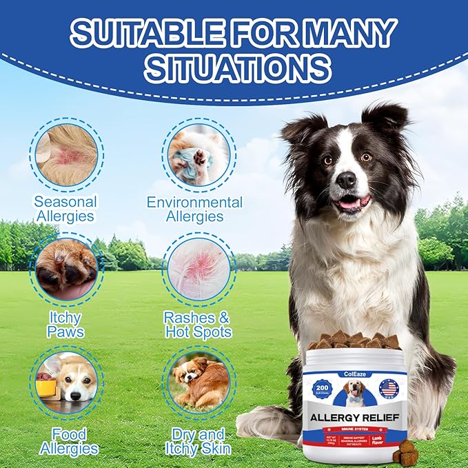 Dog Allergy Chews 200PCS Allergy and Immune Chews for Dogs Anti Itch Immune Treats Skin & Coat Supplement with Probiotics Itchy Skin Relief Treatment Pills for Skin Itchy Licking Seasonal Allergies