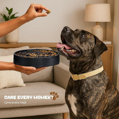 WHIPPY Slow Feeder Dog Bowl, Puzzle Maze Design to Slow Down Eating, 3-Cup Capacity, Anti-Gulping Food Bowl for Medium & Large Dogs,Blue