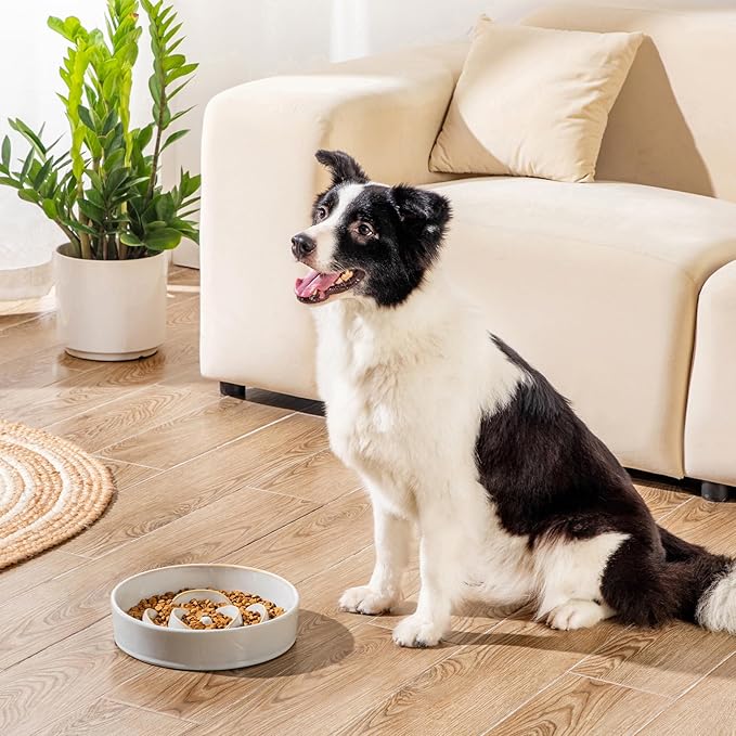 vancasso Slow Feeder Dog Bowl, 3 Cups Ceramic Slow Feeder for Large Breed, Puzzle Maze Dog Food Bowl for Fast Eater, Light Gray