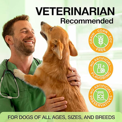 Glucosamine & Chondroitin for Dogs – Hip and Joint Supplement Chews with MSM, Vitamin C, Turmeric, Omega-3 for All Breeds – Pain & Mobility Support – 2-Month Supply – Chicken Flavor