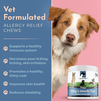 Dog Allergy Relief Chews - Itching Skin Relief with Probiotics and Turmeric for Dogs - Itchy Skin, Hot Spots, Paw Licking, Allergies & Immune Support - Made in USA - 120 Soft Treats, Salmon Flavor