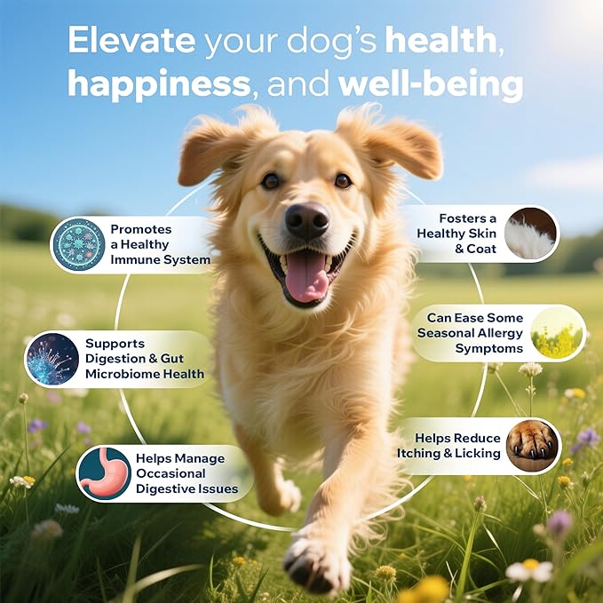 Dog Probiotics for Yeast, Itchy Skin and Itchy Ears, Allergy Relief, Daily Immune Support with Prebiotic & Digestive Enzymes (Gut Health) for Dogs, Reduce Diarrhea, Constipation & Gas Relief - 90ct