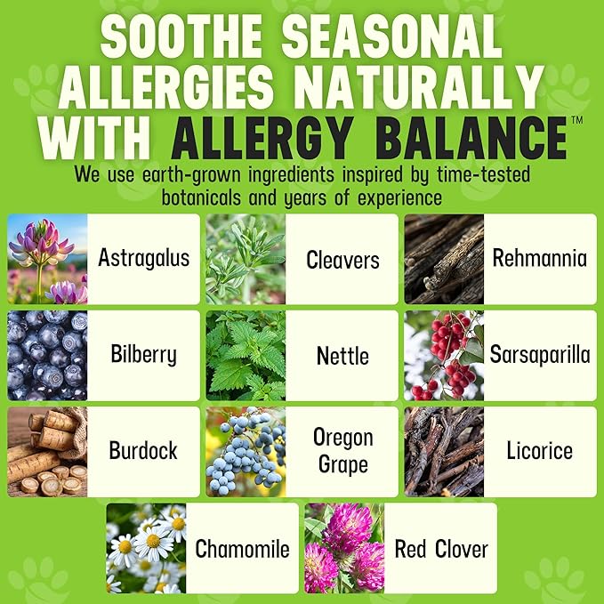 Cesar Millan Better Dog Allergy Supplements Powder - Allergy Balance Supports Seasonal Allergies & Occasional Dog Allergy Relief with Natural Ingredients - 4 oz, 60-Day Average Supply