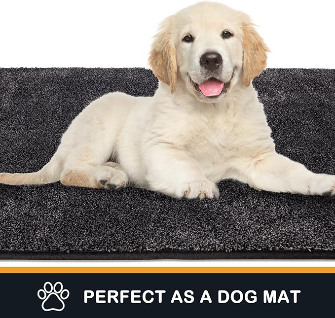 PURRUGS Dirt Trapping Door Mat 24" x 35.5", Non-Slip Machine Washable Entryway Rug, Dog Doormat, Indoor Front Door Mat, Super Absorbent Entry Rug for Muddy Shoes & Paws, Charcoal