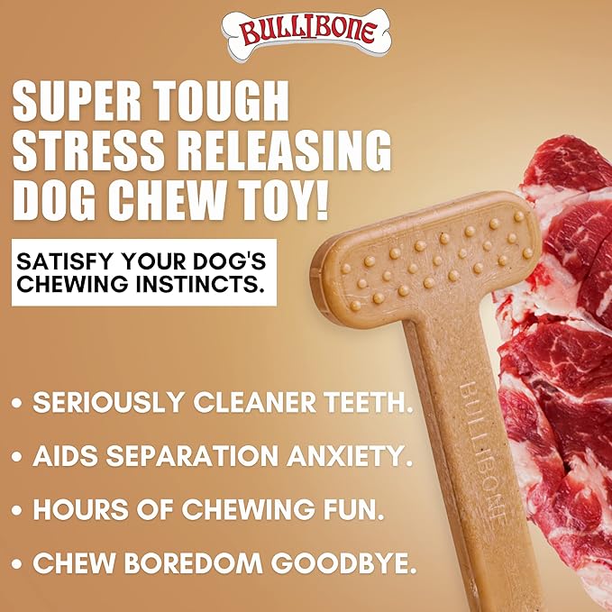 Bullibone Nylon Dog Chew Toy Nylon Bone - Improves Dental Hygiene, Easy to Grip Bottom, and Permeated with Flavor (Beef, Large - 3 Pack)