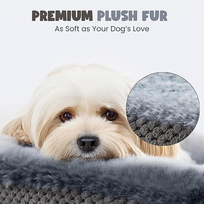 XL Orthopedic Dog Bed, 52"x40" Extra-Thick 4.7" Egg Crate Foam Couch for Extra Large Dogs, Washable Bolster Sofa Bed, Calming Plush Cover, Round Support Pad, Giant Dog Bed with Removable Cover