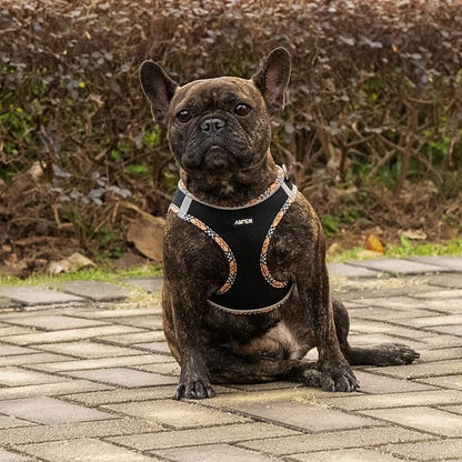 AMTOR Small Dog Harness with Leash Set, No Escape Easy Walk Puppy Harnesses for Training Walking, Step-in Reflective Soft Dogs Vest for XS S Medium Extra-Small Large Sized Dog(BlackYellow,XS)