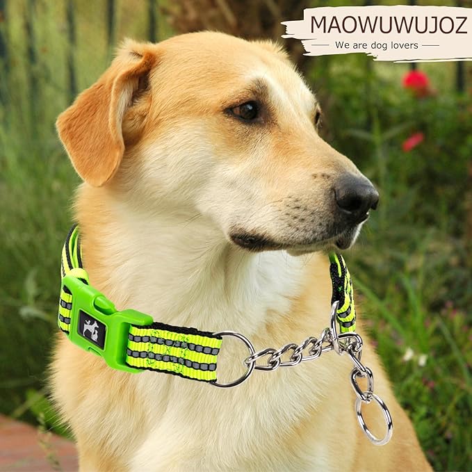 Green Reflective Martingale Dog Collar with Buckle- Night-Safe, Anti-Slip Training Collar Designed for Secure Walks - Large