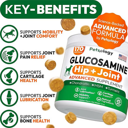 Glucosamine for Dogs - Hip and Joint Supplement for Dogs - 170 Mobility Chews - Glucosamine Chondroitin - MSM - Turmeric - Joint Pain Relief - Advanced Support for Dog Health - Made in USA