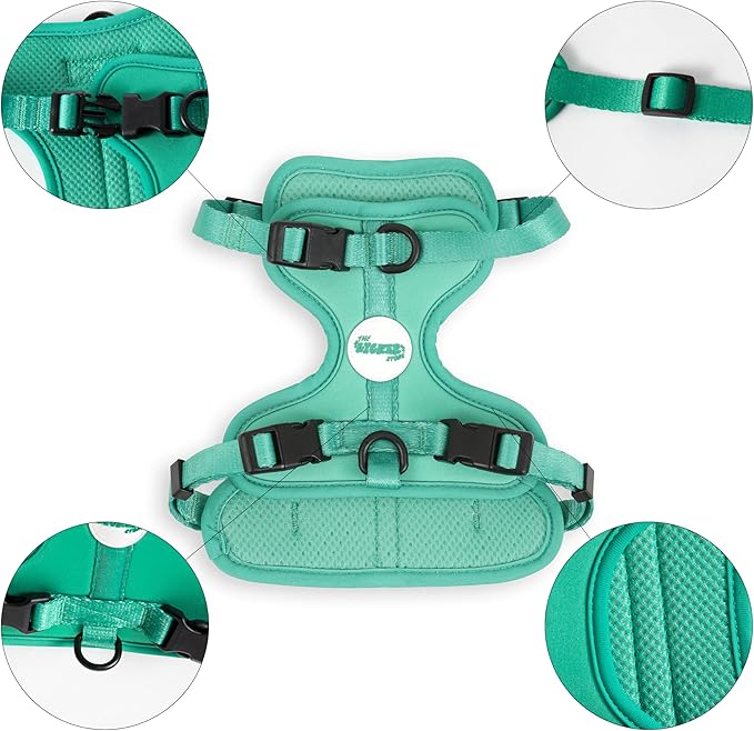 HNS1001K Arlo Small Adjustable Soft Padded No Pull Pet Harness with 3 Buckles and 3 Leash Clips, Julep