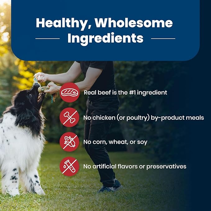 Blue Buffalo Life Protection Formula Adult Dry Dog Food, Helps Build and Maintain Strong Muscles, Made with Natural Ingredients, Beef & Brown Rice Recipe, 30-lb Bag