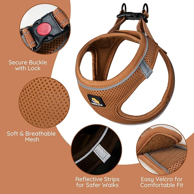 BELLA & PAL Step in Vest Harness for Small and Medium Dogs, No Pull Small Dog Harness with Leash Set, Comfortable Air Mesh Dog Vest Harness with Reflective Strip (Mokka, S)