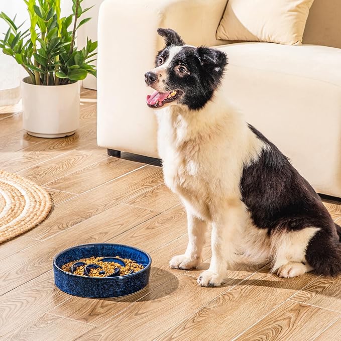 vancasso Slow Feeder Dog Bowl, 3 Cups Ceramic Slow Feeder for Large Breed, Puzzle Maze Dog Food Bowl for Fast Eater, Blue
