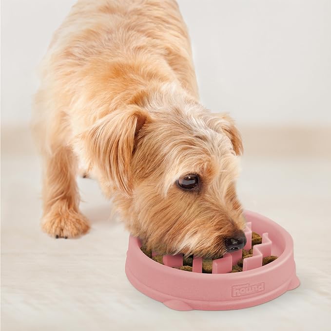 Outward Hound Small Fun Feeder Slow Bowl, Puzzle for Fast Eaters, Puppies, Cats & Small Dogs, Wet or Dry Food, Helps Prevent Bloat & Aid Digestion, 3/4 Cup Capacity, Non-Slip, Made Without BPA, Pink