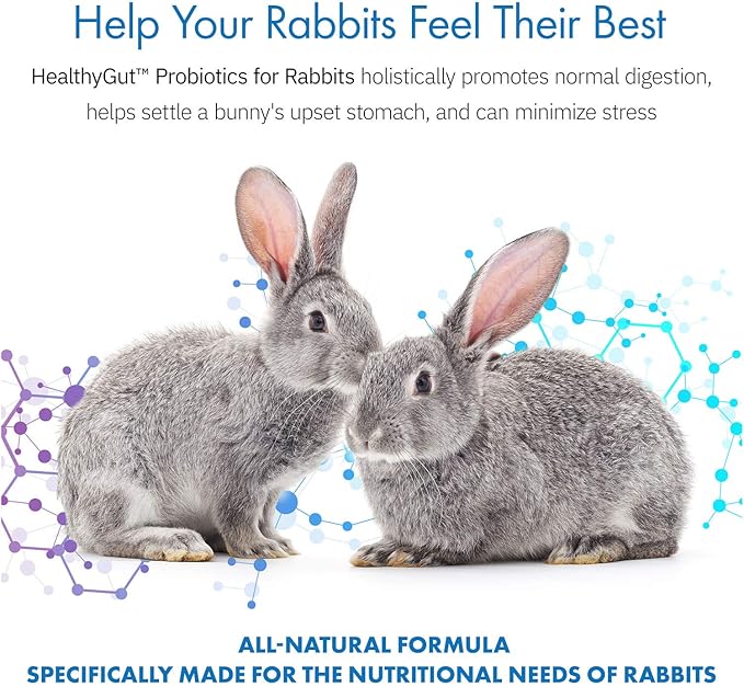 Equa Holistics HealthyGut™ Probiotics for Rabbits Dietary Supplement, All-Natural Digestive System Formula (600 Servings)