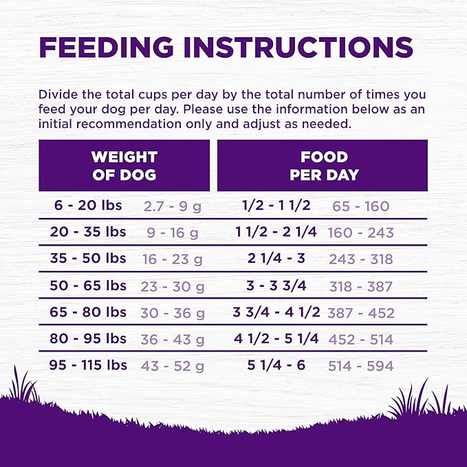 Wellness Complete Health Sensitive Skin & Stomach Dry Dog Food, Wholesome Grains, Natural, Salmon & Rice Recipe, (24-Pound Bag)