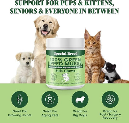 Green Lipped Mussel for Dogs & Cats - 60 Soft Chews - New Zealand Green Lipped Mussels - Natural Hip & Joint Supplement for Joints, Tendons, Ligaments, Muscles