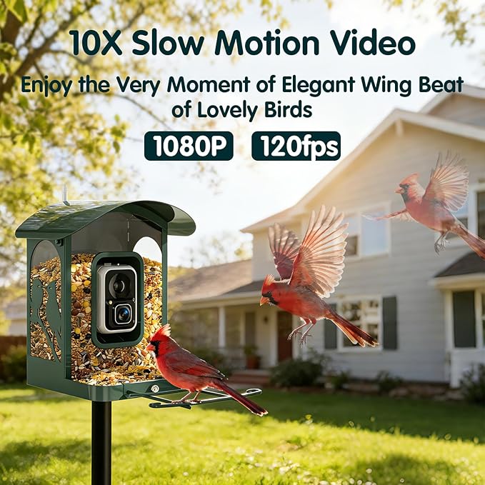 Humbirdy-Bird Feeder with Camera, 8MP Ultra HD Video & Photo, 10x Slow-Motion, 4K 30fps Live View, No Subscription, AI Identify, 2.4G/5G Wi-Fi, Solar Powered, Dural Metal, Unique Bird Watching Gifts