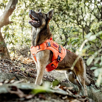 OneTigris Tactical Dog Harness Vest with Handle, Military Dog Harness for Large Medium Dogs,FIRE WATCHER 2.0 No-Pull Service Dog Vest,Adjustable Dog Vest Harness for Walking Hiking Training(XL,Orange)