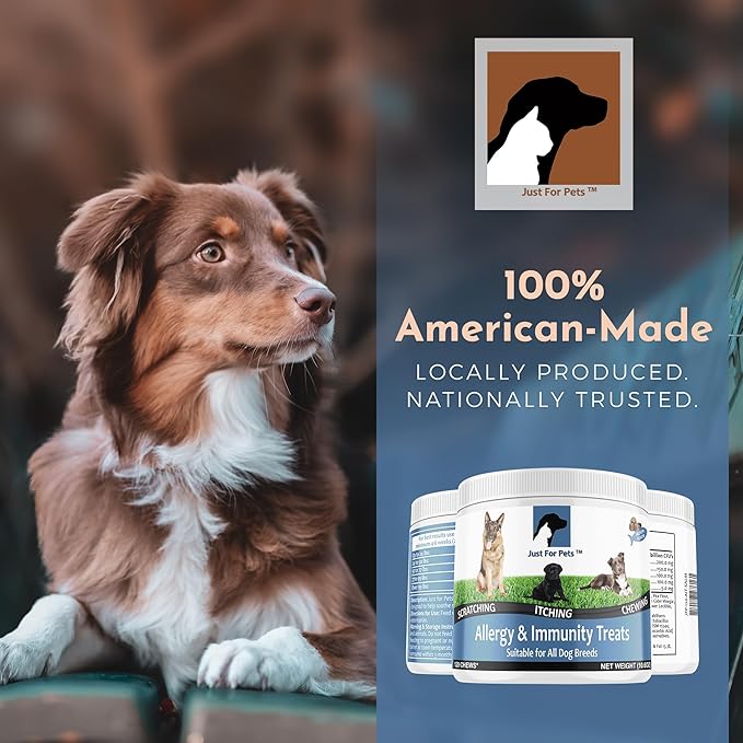 Dog Allergy Relief Chews - Itching Skin Relief with Probiotics and Turmeric for Dogs - Itchy Skin, Hot Spots, Paw Licking, Allergies & Immune Support - Made in USA - 120 Soft Treats, Salmon Flavor