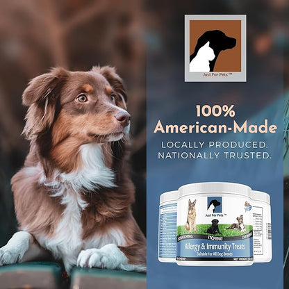 Dog Allergy Relief Chews - Itching Skin Relief with Probiotics and Turmeric for Dogs - Itchy Skin, Hot Spots, Paw Licking, Allergies & Immune Support - Made in USA - 120 Soft Treats, Salmon Flavor