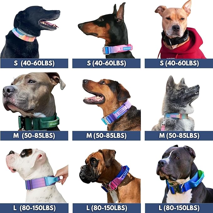 Spark Paws Tactical Dog Collar with Handle - Premium Quality Collar, Robust and Durable Design for Large, Strong Breeds - Pitbulls, Labradors, GSD - Snow Cone - S - 1.5"