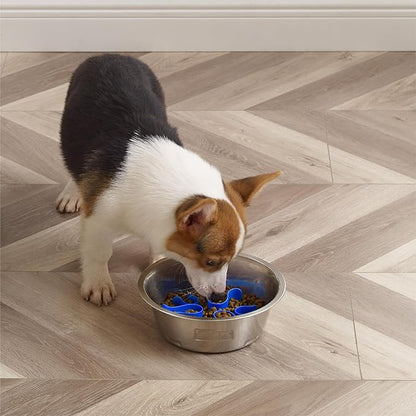 Outward Hound Stainless Steel Slow Feeder Bowl, Plastic Puzzle Maze for Fast Eaters, Small to Medium Dogs, Helps Prevent Bloat & Aid Digestion, Holds 2 Cups Wet or Dry Food, Non-Slip, Made Without BPA