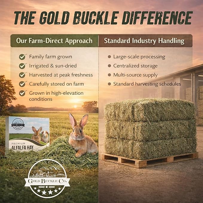 Gold Buckle Co 40lb Farm Fresh, USA Grown, Organic Alfalfa Hay for Rabbits, Guinea Pigs, Chinchillas, Goats, Hamsters & Ferrets - Small Animal Food Rich in Protein & Fiber - Just Dried, Hand-Selected