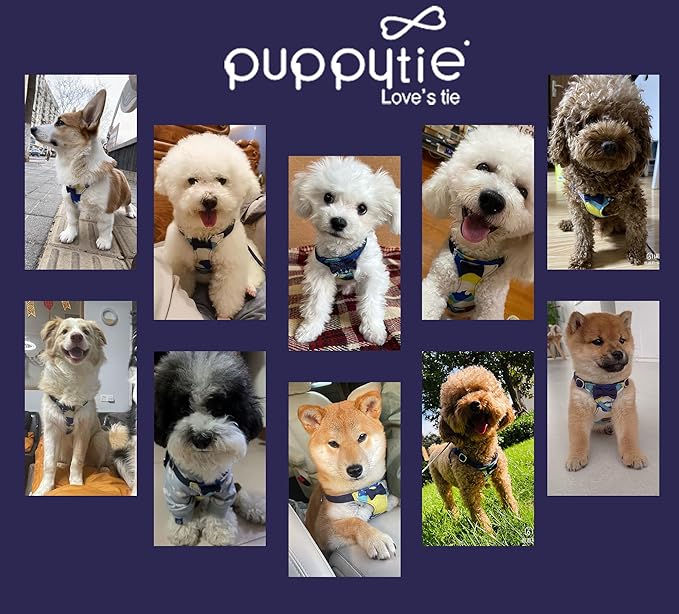 Puppytie No Pull Small Dog Harness with Multifunction Dog Leash,Lightweight Soft Adjustable No Choke Escape Proof Pet Harness Vest Pet Harness Vest,Suede Bow Navy,S