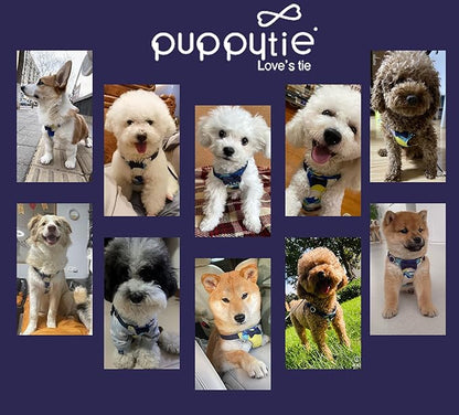 Puppytie No Pull Small Dog Harness with Multifunction Dog Leash,Lightweight Soft Adjustable No Choke Escape Proof Pet Harness Vest Pet Harness Vest,Suede Bow Navy,S