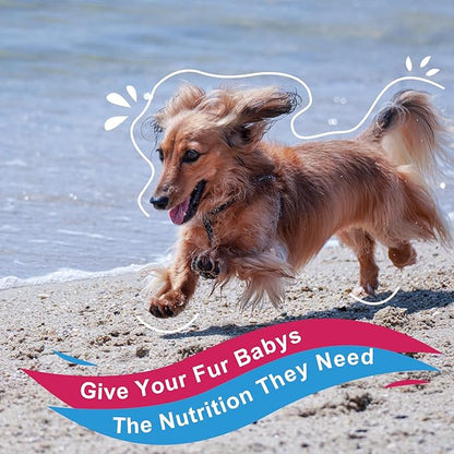 NATURE TARGET Dog Vitamins Powder, Probiotics & Digestive Enzymes for Gut Health, Glucosamine & Chondroitin & Omega 3, Complete Supplement for Homemade Dog Food, Joint & Skin & Immune Support