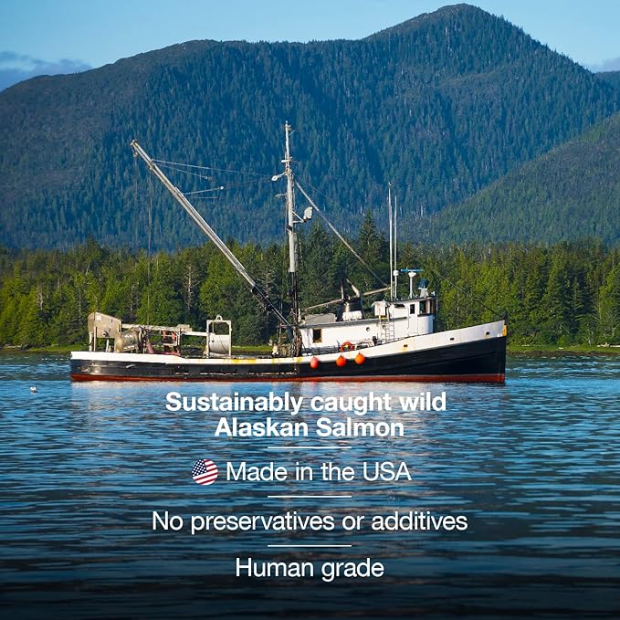 SavvyBeast Wild Alaskan Salmon Oil for Dogs, Cats & Ferrets – Omega-3 Fish Oil Pet Supplement with EPA & DHA – Supports Skin, Coat, Joints, Heart, Brain, Itch Relief & Immune – Unscented – 16 oz