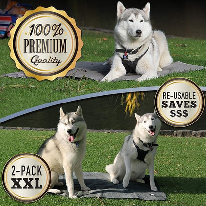 Washable Pee Pads for Dogs XXL (2 Pack), Reusable Puppy Training Pads, Ultra Absorbent & Waterproof Pet Mat for Senior Dogs, Non-Slip, Floor & Furniture Protector (36"x48") by Trendy Den Creations