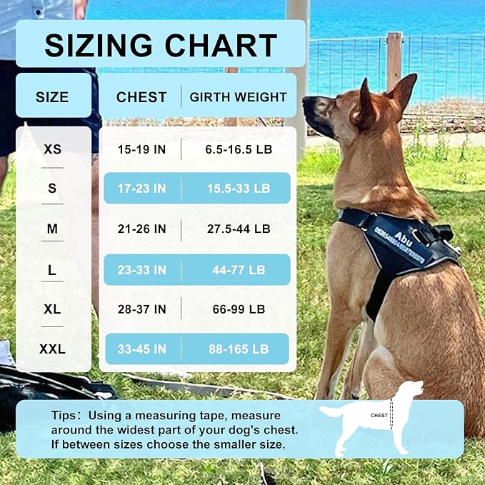 Custom No Pull Dog Harness with Name and Phone Number, Reflective Heavy Duty Personalized Pet Vest, Breathable Adjustable Harness (Black, XL)