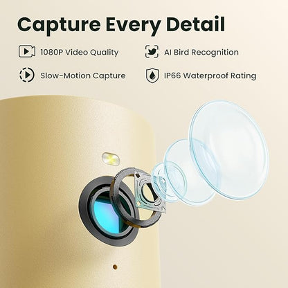 Birdfy Smart Bird Feeder with Camera Solar Powered, Slow-Motion Video & Night Insight, AI Identify 6000+ Species Lifetime Free, Ideal for Outdoors Bird Watching & Gifts for BirdLovers, Wood