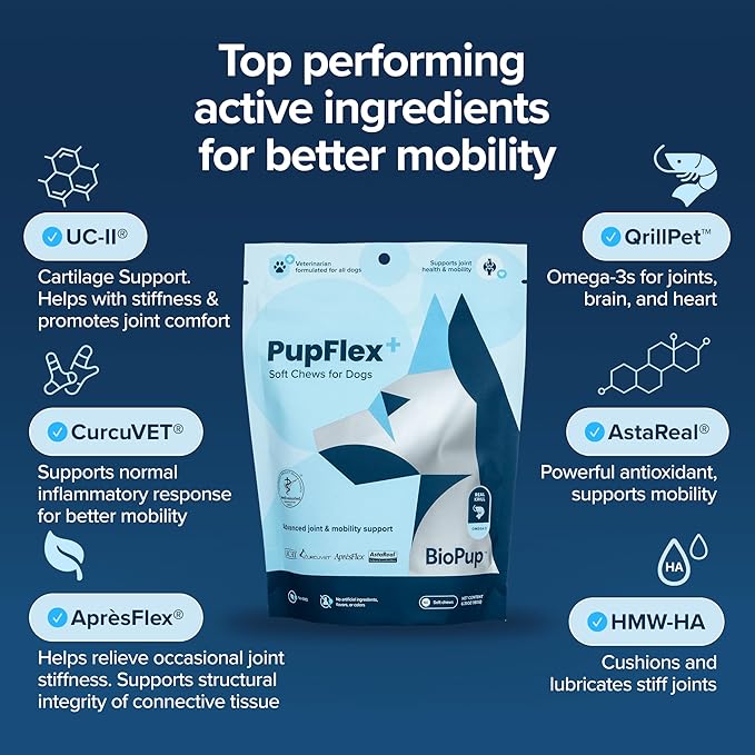 PupFlex+ Hip and Joint Supplement Dogs, Vet Created Soft Chews with UC-II® Collagen for Dogs, CurcuVET® & Omega 3, Proven More Effective Than Glucosamine Chondroitin, Dog Joint Supplement (60 ct)