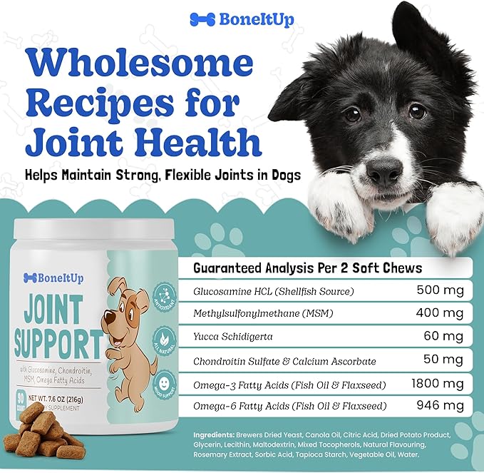 BoneItUp Soft Dog Joint Support Supplement Chews for Aging, Large & Overweight Pets - Glucosamine, Chondroitin, MSM & Omega - Advanced Hip & Joint Supplement for Dogs - Pet Bone Support Treats (90 Ct)