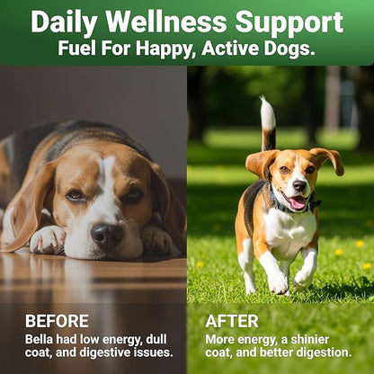 WuffWell Super Greens Powder for Dogs – Spirulina, Chlorella, Moringa, Glucosamine & Turmeric – Joint, Immune & Skin Support – Beef Flavor – Natural Dog Supplements – Vet Approved – Made in USA