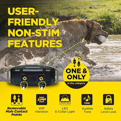 Dogtra 1900X E-Collar with Remote [New Edition] 35 lbs+, 3/4 Mile Range, LED Light, 100 Levels of Precise Control for Stubborn Dogs, Waterproof, Boost for Quick Recall, Vibration, Safety Lock & Tone