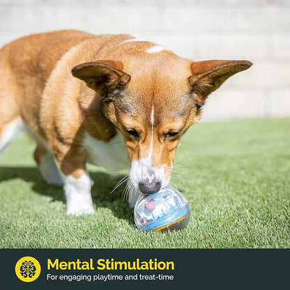 Pet Zone IQ Treat Ball Interactive Dog Ball - 3" Puzzle Treat Dispenser, Durable, Slow Feeder, for All Dog Breeds, Toys to Keep The Busy and Enrichment