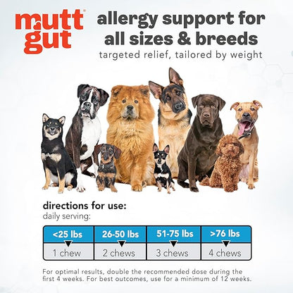 MuttGut® Dog Allergy and Immune Chews - Itch Relief for Dogs with Skin & Coat Support - Allergy Relief for Dogs Itching & Licking - Pet Allergy Chews for Seasonal Allergies - 60 Soft Chews