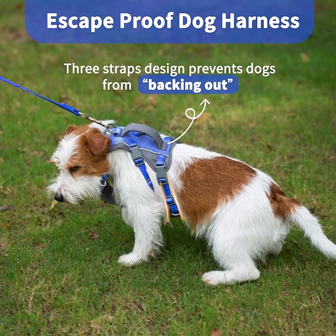 Huntboo Reflective Dog Harness with Handle, Escape Proof, No Slip, Breathable, Lightweight, Adjustable Lift Harness for Small, Medium, and Large Dogs Walking, Training, and Running Gear(Sea Blue,XS)