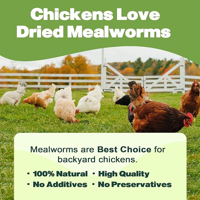 LIWII Dried Mealworms 2 LBS-100% Natural Non GMO High Protein Treat for Chicken & Wild Birds, Plus Small Pets